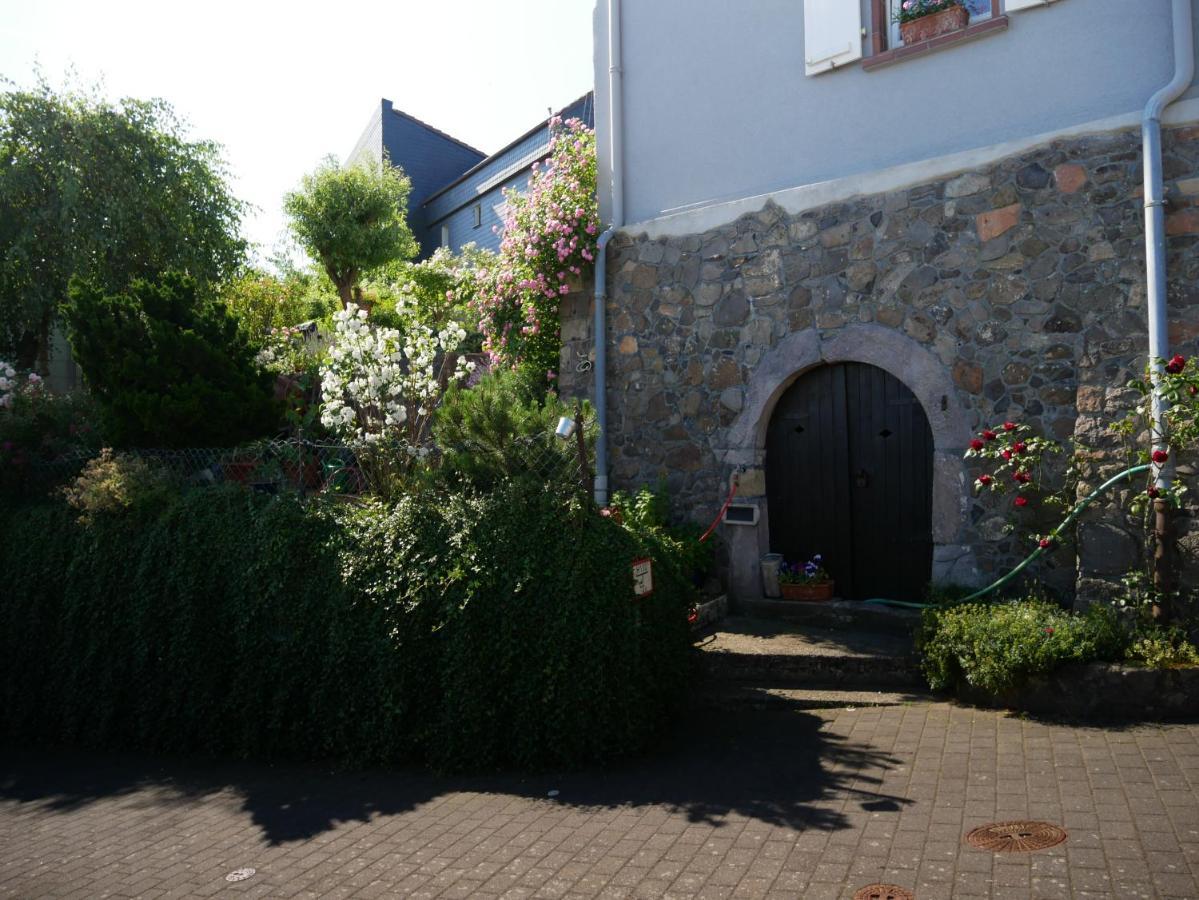 Talblick Gleiberg Lägenhet Krofdorf-Gleiberg Exteriör bild